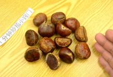 板栗开口还在用刀切？用一个瓶盖，开口不再费劲，这方法太实用了