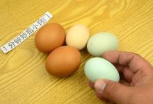 买鸡蛋时，挑红壳的还是白壳的？养殖员不小心说漏嘴，以后别乱买