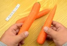 转基因胡萝卜和非转基因胡萝卜，一眼区别出来？好方法告诉你