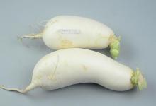 保存萝卜根本不用埋土里，学这方法，一冬季不糠，天天吃新鲜萝卜