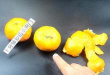 橘子皮别再扔了，锅里一煮，原来作用这么厉害，快来试试