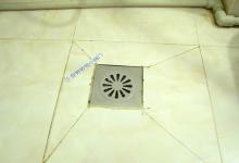 卫生间小黑虫又出来了！教你简单一招，家里都看不到小飞虫出现