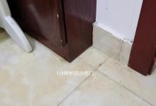 蚂蚁别用开水烫，角落里撒一把，家里的蚂蚁连窝端，回家快试试