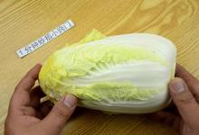 几十年的白菜原来都切错了？老菜农教我一招，学学白菜新切法