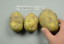 原来保存土豆这么简单，学会这招，不发芽不干瘪，半年还不会坏
