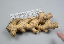 生姜根本不用花钱买，手把手教你在家种植一大盆，吃起来放心健康