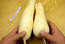 住楼房保存萝卜的绝招，简单2步，不烂不坏，放半年都新鲜