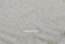 大米生虫别扔掉，米店老板教我一个妙招，米虫自己出来全跑掉