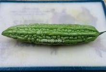 才发现，苦瓜上这个“苦源”，切掉一点苦味都没有，看完涨知识了