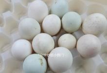 才知道，鸡蛋托盘还是个“宝”，简单改造，放桌上家里人都抢着要