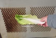 不管油烟机油垢有多厚，用白菜叶擦一擦，立马崭新如初，实用省钱