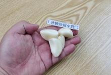 家里有蟑螂不用愁，教你个诀窍，蟑螂轻松消灭，比杀虫剂还管用