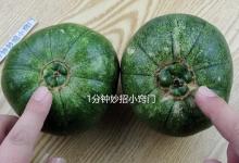买甜瓜时，挑大瓜脐还是小瓜脐？老果农：区别很大，以后别买错了