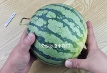 西瓜甜不甜，瞧一下这里就知道，一买一个准，老果农的方法真管用