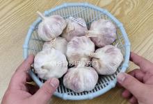 这样的大蒜不要再买了，菜贩子不小心说漏嘴，以后别再买错了