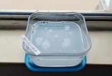 蚊子最怕这碗“水”，家里放一个，蚊子死得干干净净，简单又实用