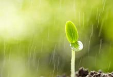 2023年7月8月雨水大吗