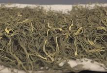 什么是西湖龙井新茶