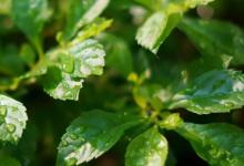 今年下半年为什么没有雨下