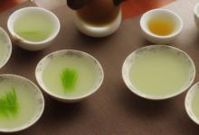 西湖龙井茶汤颜色变化
