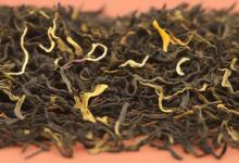 信阳毛尖春茶好还是秋茶好