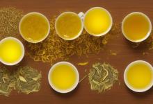毛尖属于黄茶属于绿茶