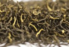 信阳毛尖里有茶多芬