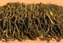 西湖龙井茶用的是什么茶叶