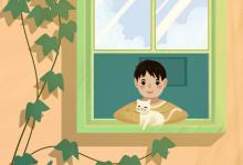 窗外声音：暑假的自然乐章