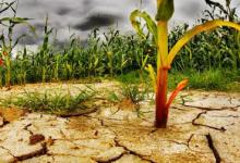 厄尔尼诺对夏季影响大吗