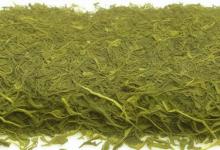 中国茗茶日照绿茶