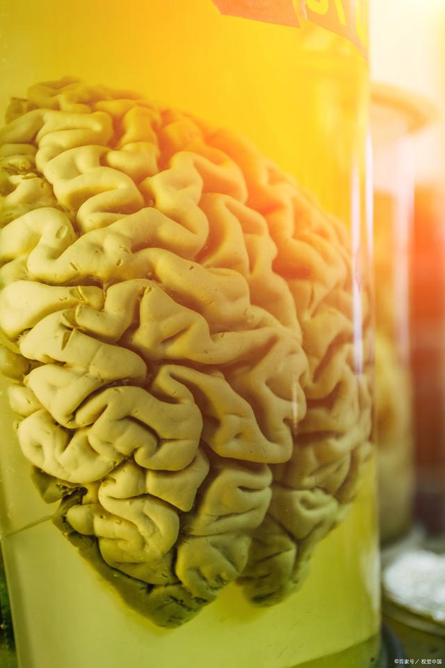 福尔马林的主要成分是什么?_生活常识_中睿百科网