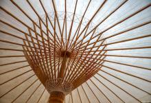 油纸伞是非遗吗？油纸伞是非遗文化吗