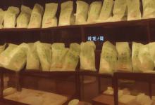 信阳毛尖商城野茶