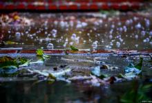 夏至下雨好不好？为啥有“一滴雨值千金”的俗语，5句老话很在理