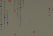 紫阳翠峰 毛尖
