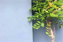 淘宝开店需要做3c认证吗？做3c认证有哪些好处？