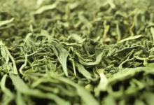 英德绿茶哪一款性价比最高