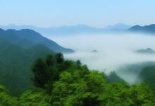 庐山云雾介绍