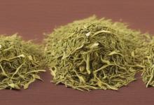 日照绿茶和南方绿茶比较