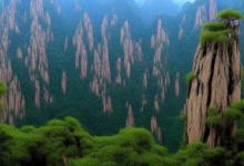 黄山毛峰的由来