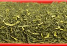 日照绿茶那家最正宗