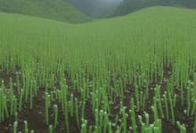 八马峨眉雪芽
