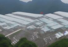 峨眉雪芽生产基地