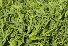 中国的10种名茶崂山绿茶