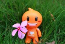 淘宝上传的商品类目不符合会怎么样？如何改类目？