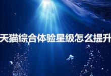 天猫综合体验星级该怎么提升？要注意哪些？