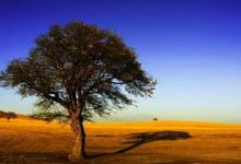 淘宝多少件会提醒库存紧张？库存设多少较好？