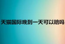 天猫国际晚到一天可以申请必陪吗？