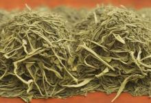崂山绿茶的主要原料